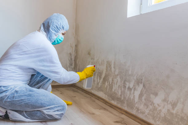 Crawl Space Mold Remediation treatment of floor joists in Cranbury