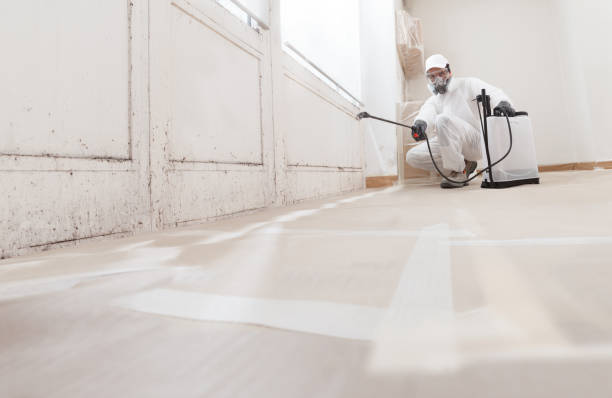 Black mold remediation team in Cranbury